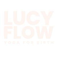 LucyFlow.com Скидочные коды 2025