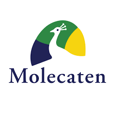 Molecaten Скидочные коды 2025